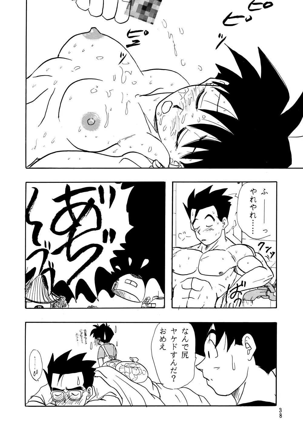 Z Page.38