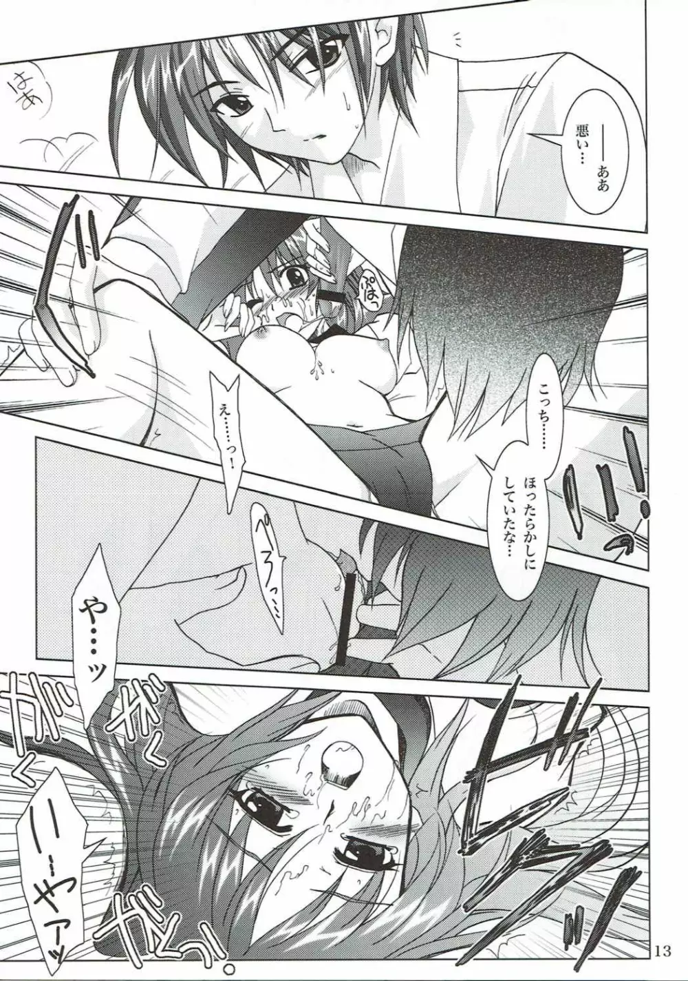 暴れ猫の躾かた2 Page.12