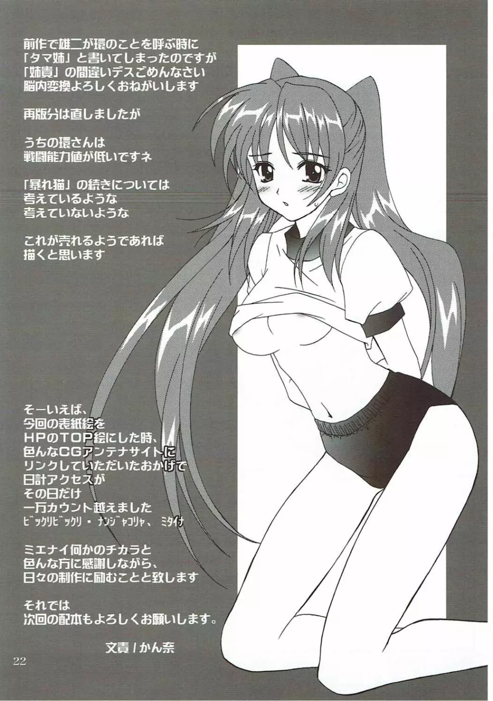 暴れ猫の躾かた2 Page.21