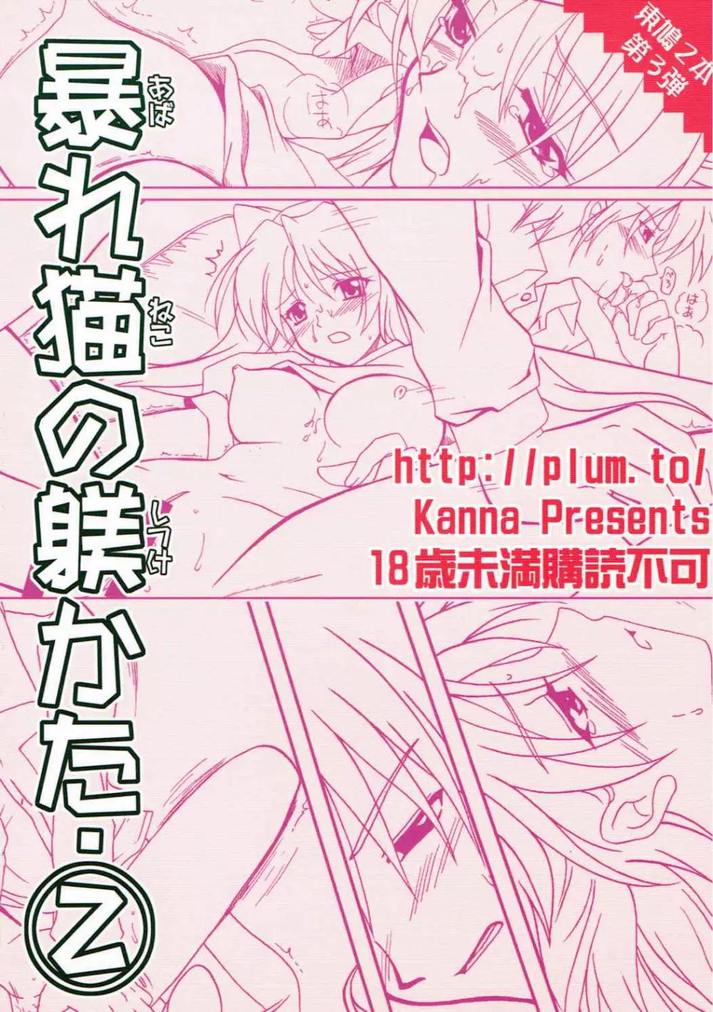 暴れ猫の躾かた2 Page.26