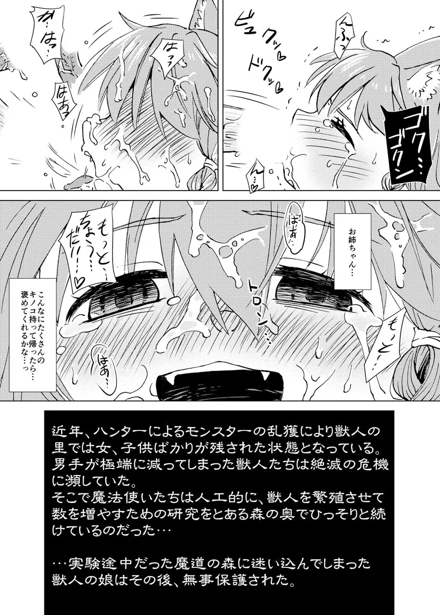 ケモノな娘とキノコのようなモノ Page.27