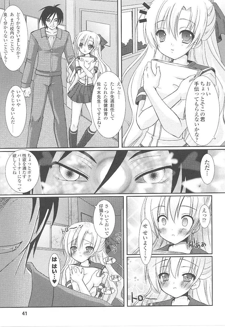 闘うヒロイン陵辱アンソロジー 闘姫陵辱 15 Page.41