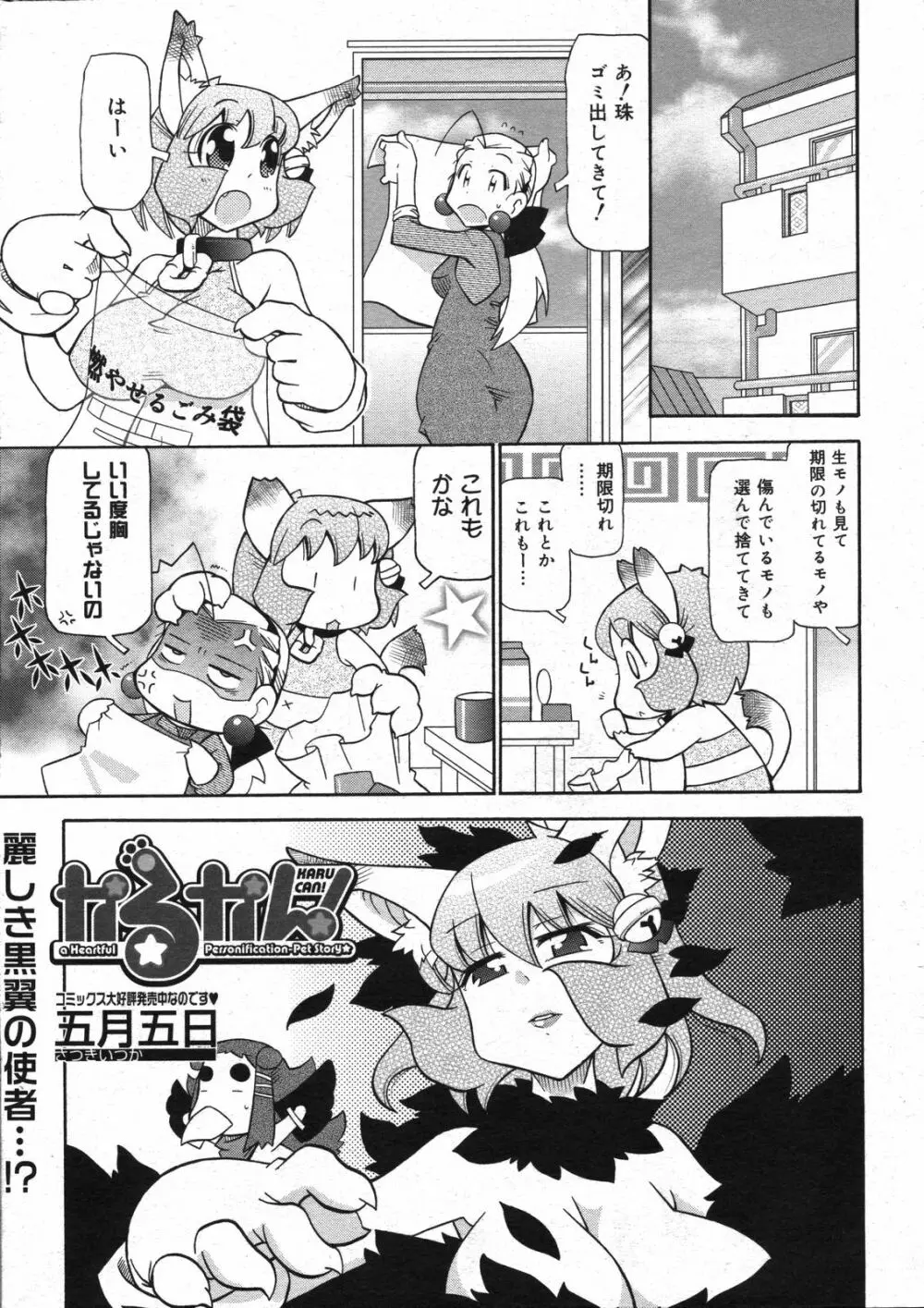 コミックゼロエクス Vol.07 2008年7月号 Page.382