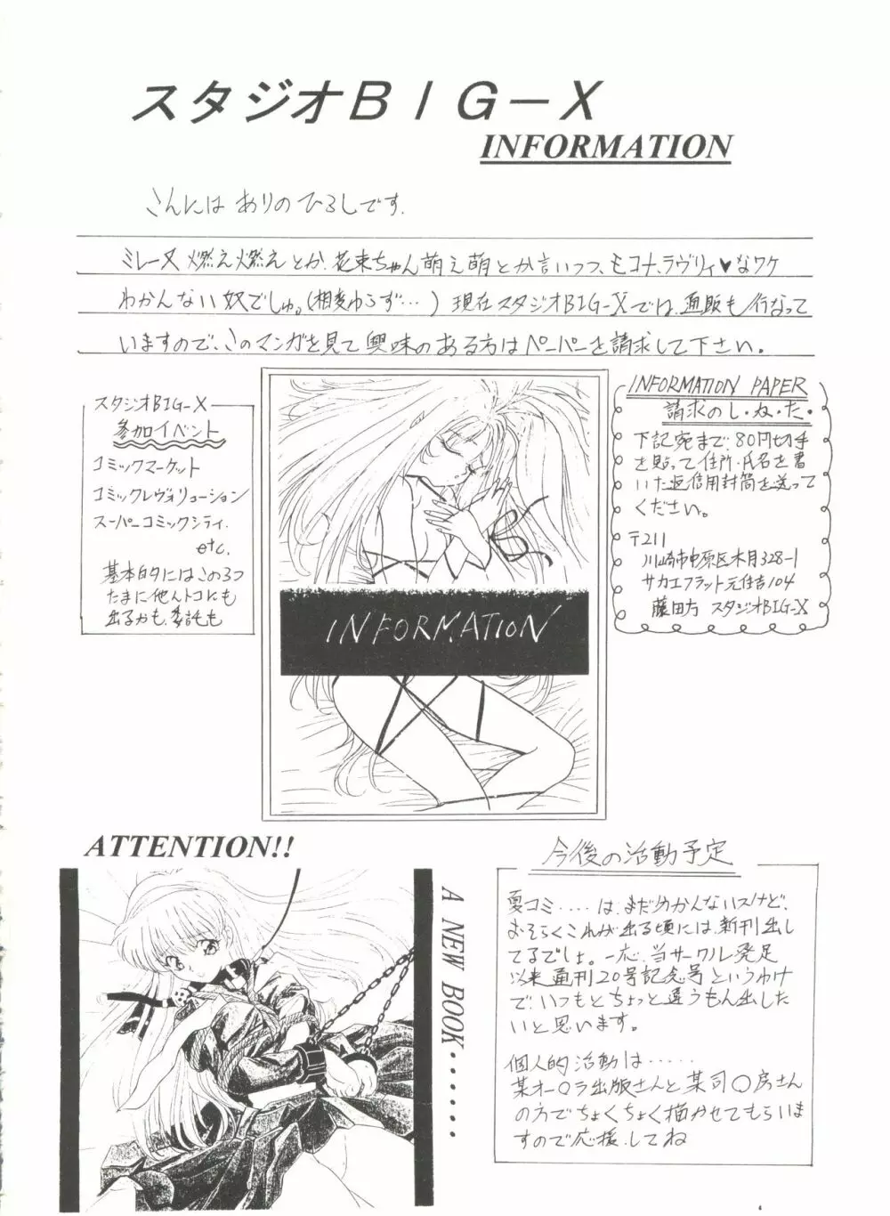 アニパロ美姫2 Page.21