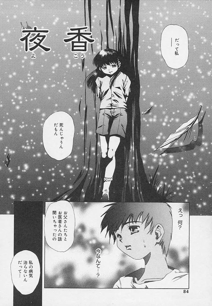 夜に咲く花 Page.86