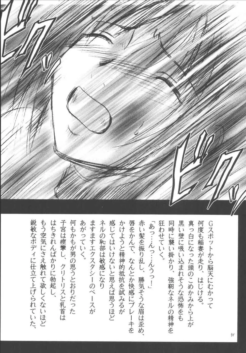 ネルハード Page.34