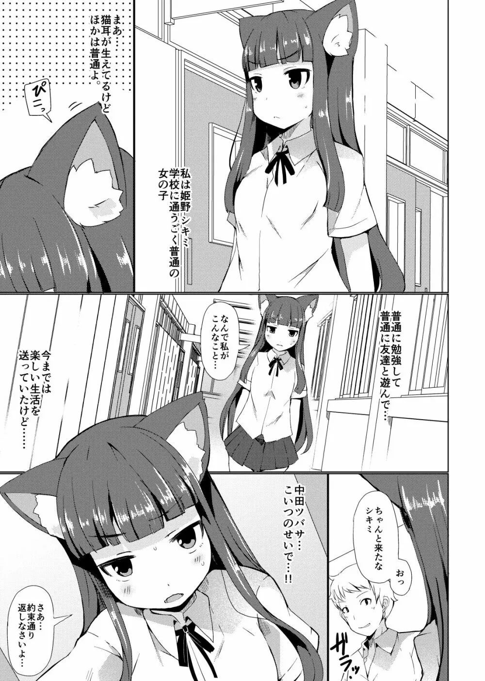 姫野シキミは肉便器 Page.3