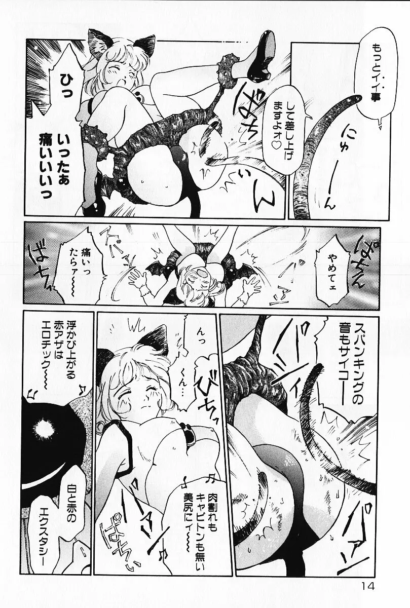 乙女の雫 Page.13