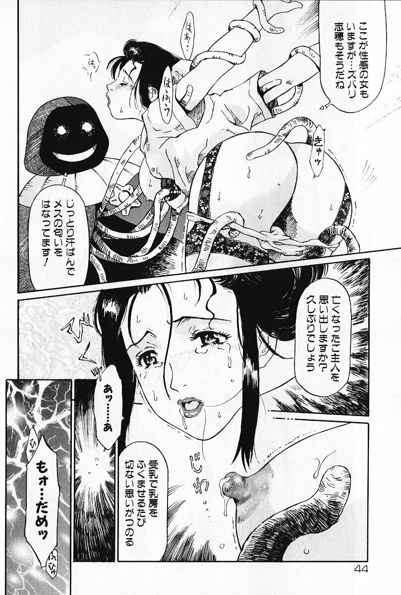 乙女の雫 Page.43