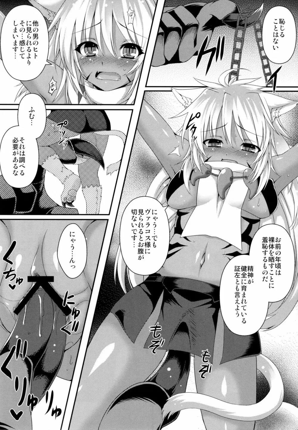 ヴァラコスの従者 Page.5