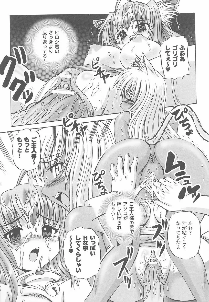 けものっ娘 アンソロジーコミックス Page.145