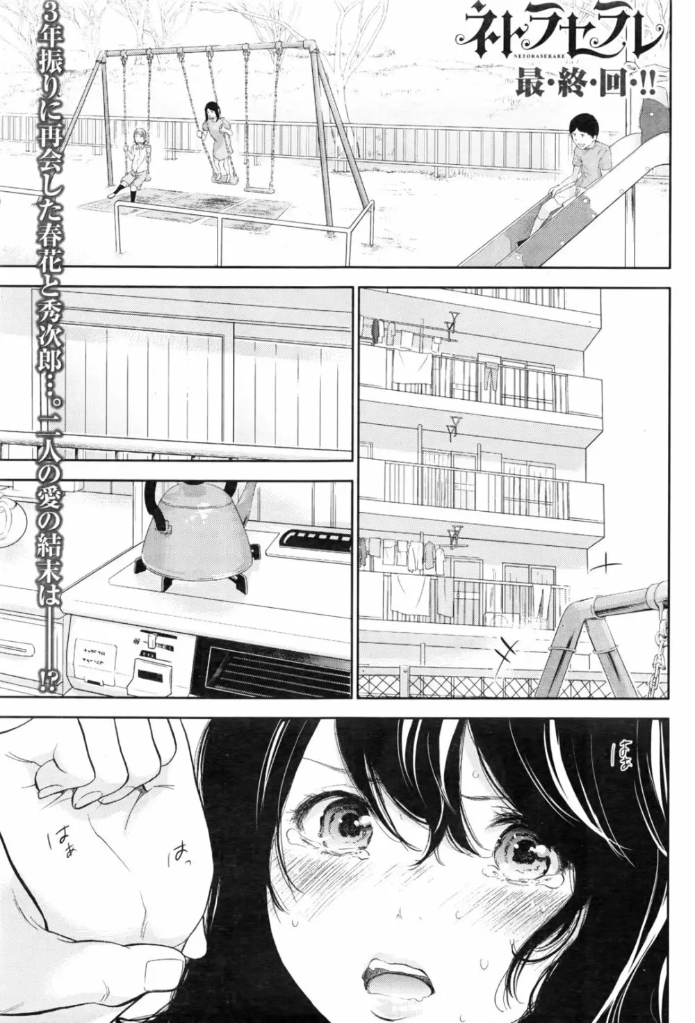 ネトラセラレ Page.546