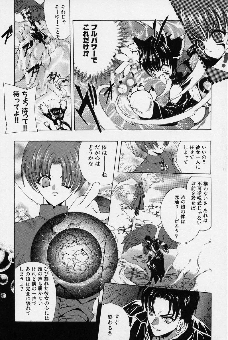 SPIRAL GARDEN Page.97