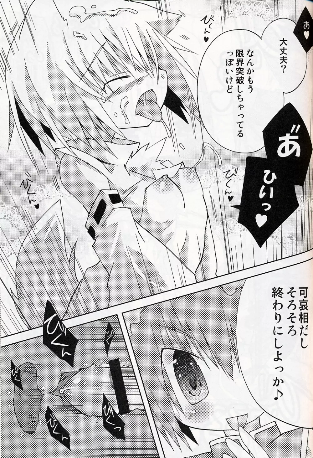 いぬヴァしりさんをもっとぎゅっとする本 Page.16