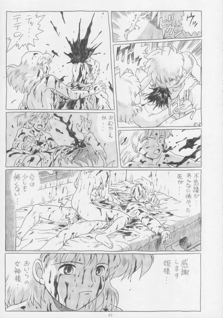 IRIE FILE BLUE Page.42