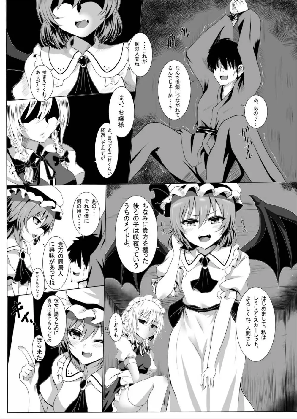 サグメ・キャプチャ2 Page.3