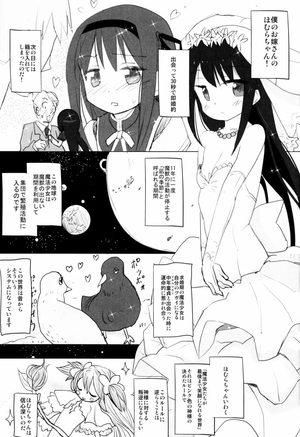 あなたのことが大好きなほむらちゃんと行く集団露出新婚旅行ハワイ!! Page.2