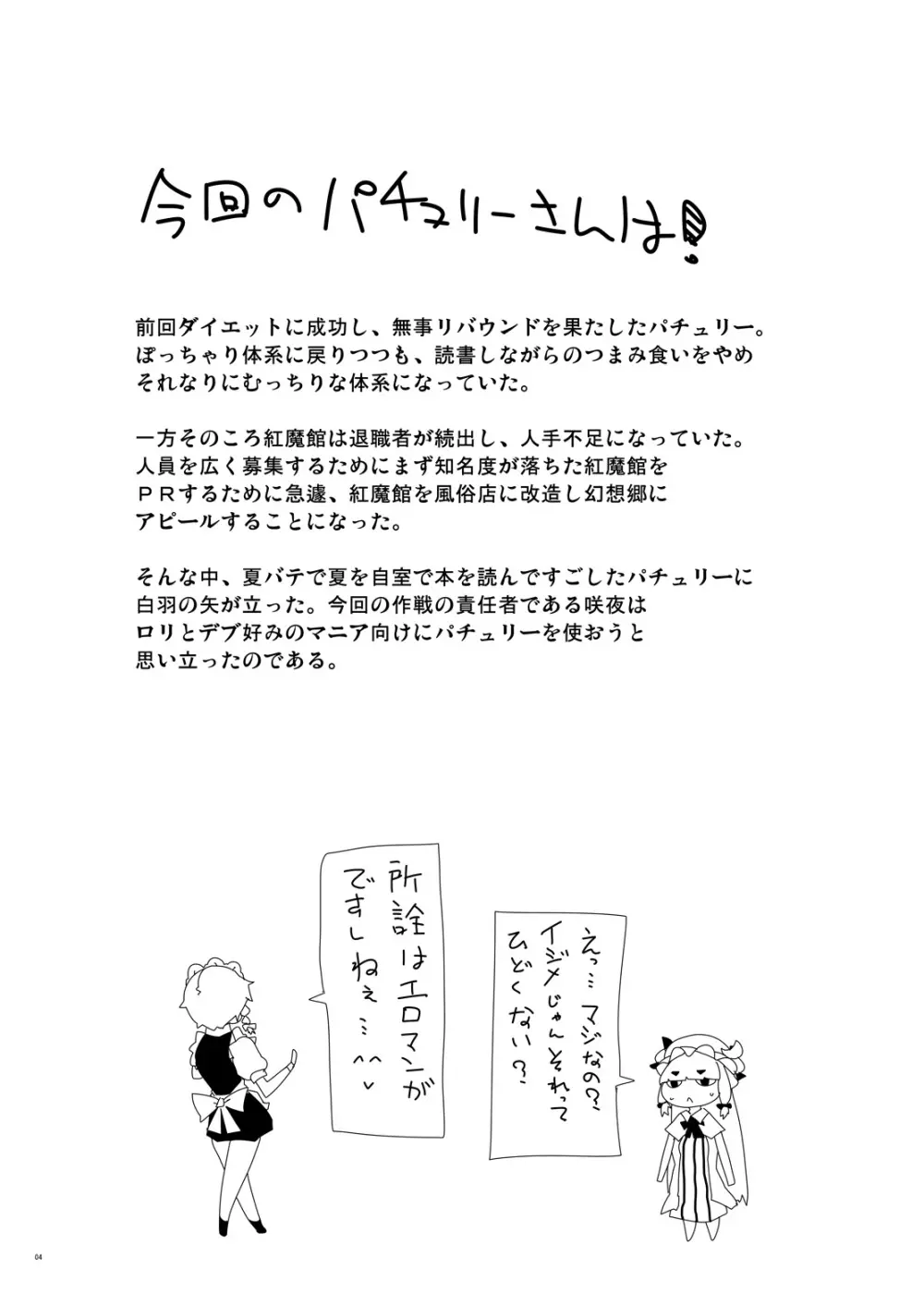 紅魔館へようこそ Page.4